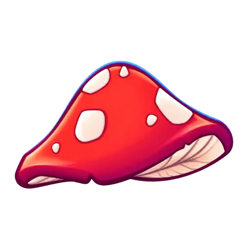 🍄 10K Cogumelos